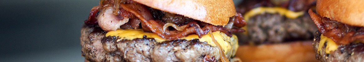 Eating Burger Diner at Skylark Diner restaurant in Vestal, NY.